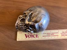 Load image into Gallery viewer, memento mori decorative skull - new plastic head - remember your death/mortality
